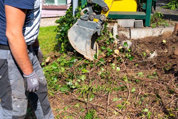 Hedge Removal Service in Portland