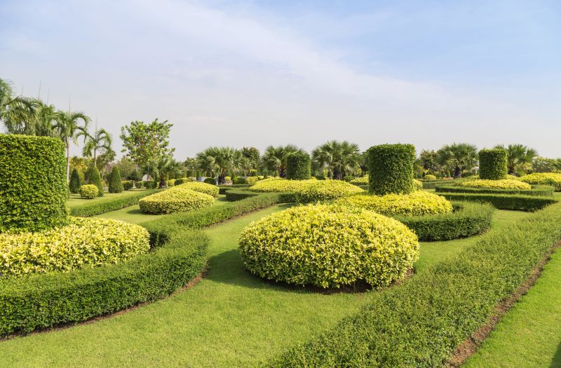 Trimmed Shrubs with Defined Shapes